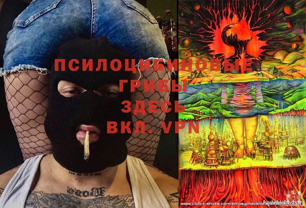 МДМА Алексеевка