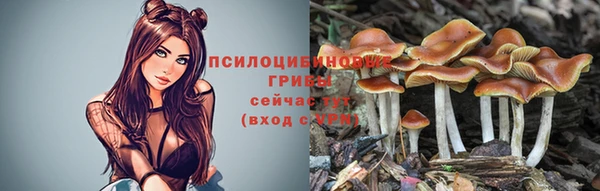 MDMA Premium VHQ Карталы