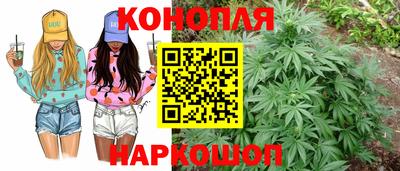 тгк Лесосибирск