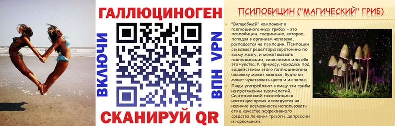 гидра ССЫЛКА  Дзержинский  Галлюциногенные грибы мицелий 