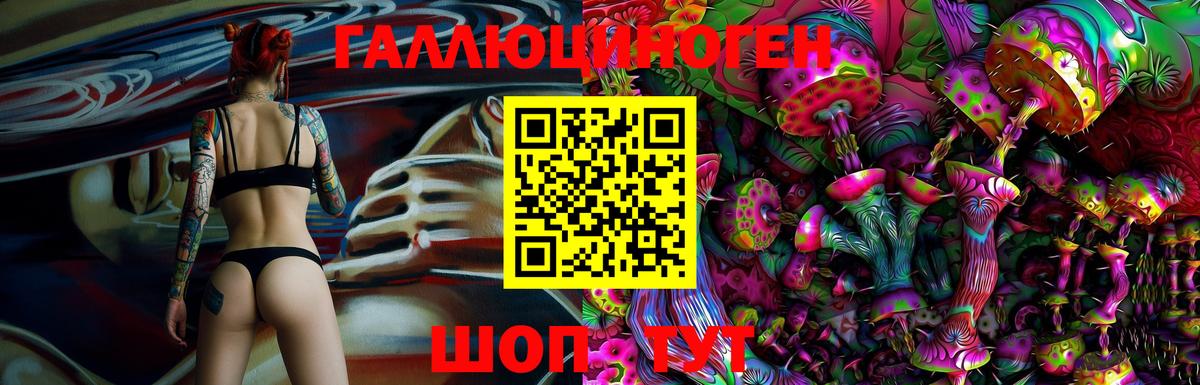 Псилоцибиновые грибы Psilocybe Дзержинский