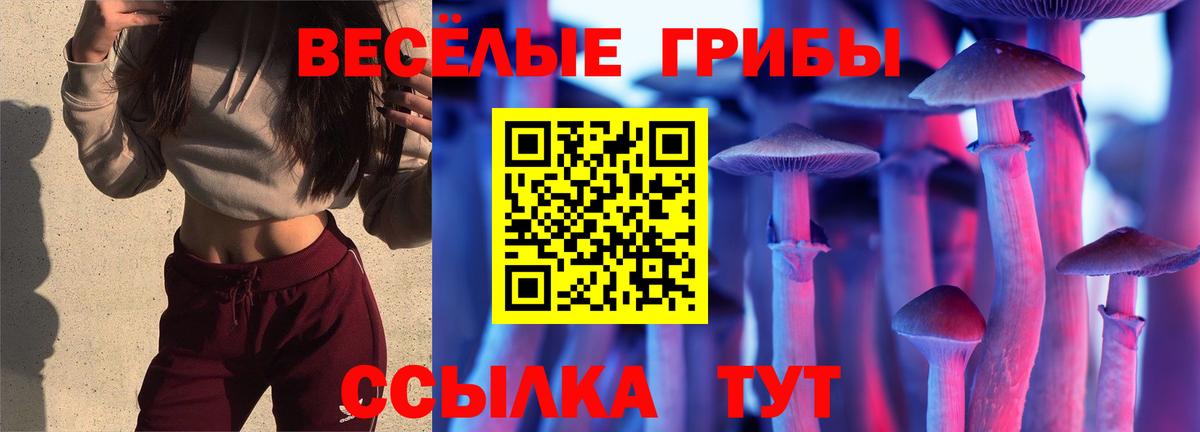 Дзержинский  Галлюциногенные грибы Psilocybe  Вход с VPN  Галлюциногенные грибы прущие грибы 